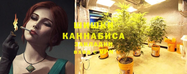 шишки Алзамай