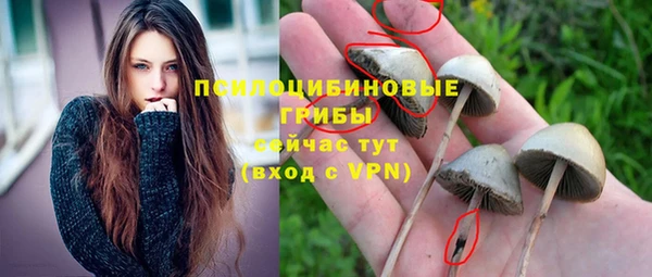 круглые Арсеньев